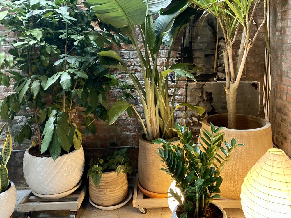 Yoan Garden Design & Care