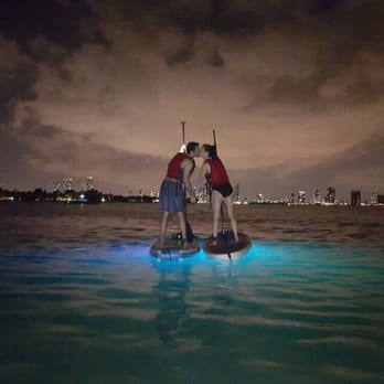Miami Beach Paddleboard Check Availability 53 Photos 98 Photo Of Miami Beach Paddleboard Fl United States