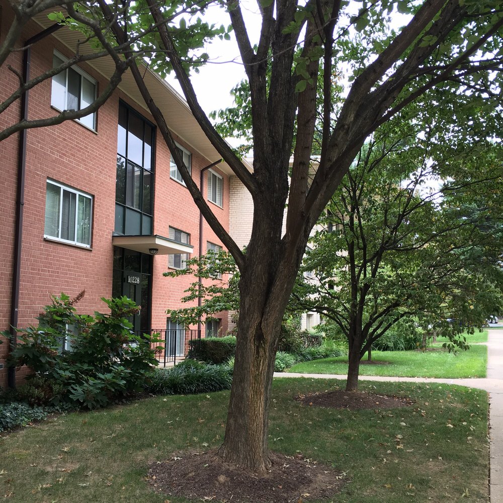Grosvenor Park IV Condominium