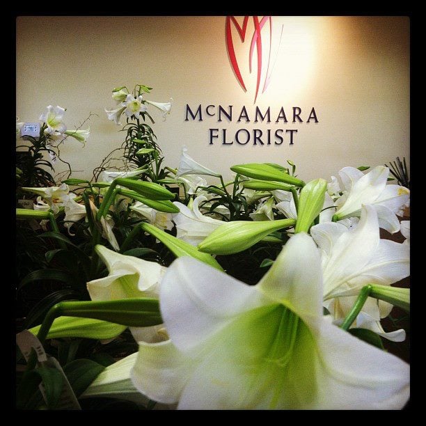 McNamara Florist Florists 2635 E 62nd St, Indianapolis