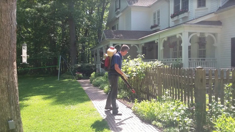 Smithereen Pest Management Services 33 Photos & 22 Reviews Pest