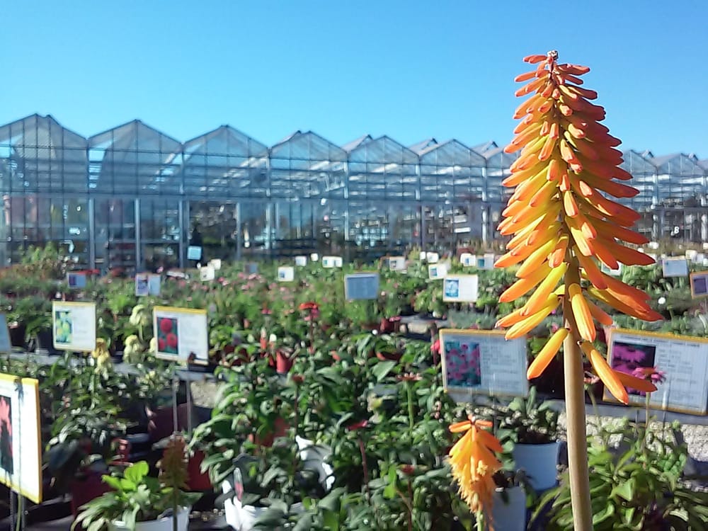 Photos For Suburban Lawn Garden Yelp Photo Of Suburban Lawn Garden Kansas City Mo United States