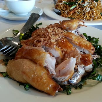 Gu10 Led Coloured Bulbs Red Green Blue More Blt Direct Gu10 Led Coloured Bulbs Red Green Blue More Blt Direct