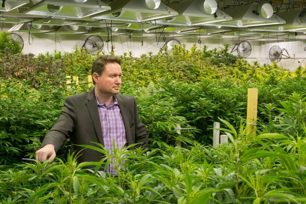 Cultiva Law