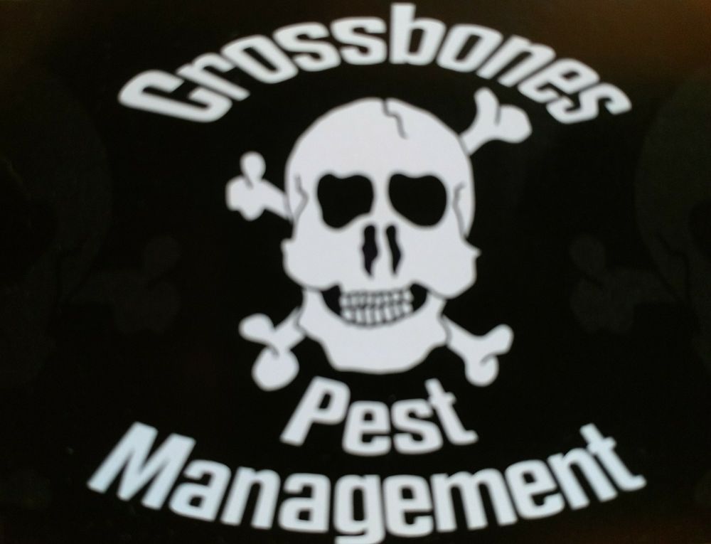 Crossbones Pest Management