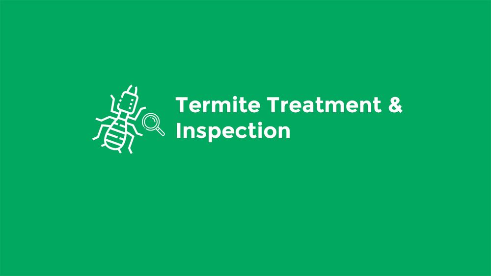 Advanced Termite Control