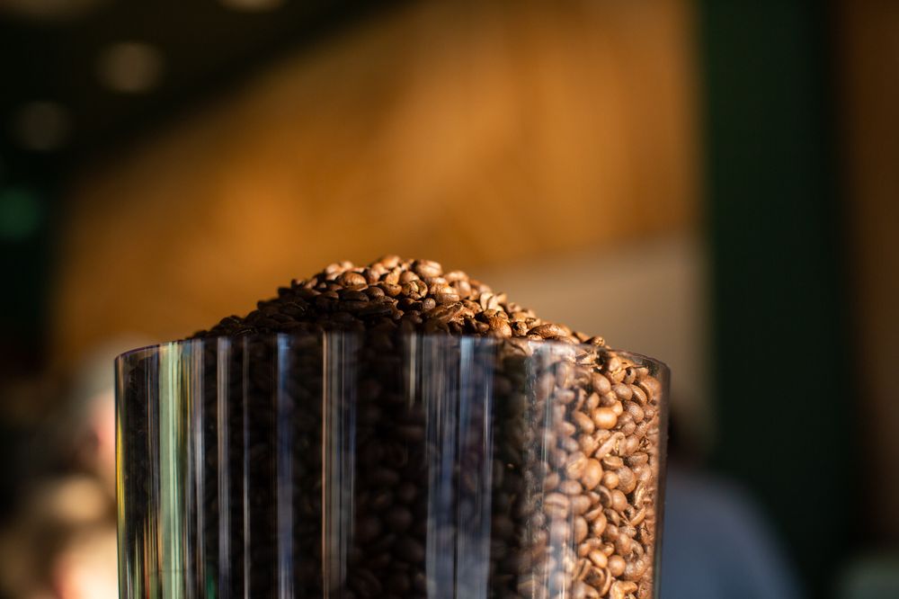 Fiddlehead Coffee Fiddlehead Coffee