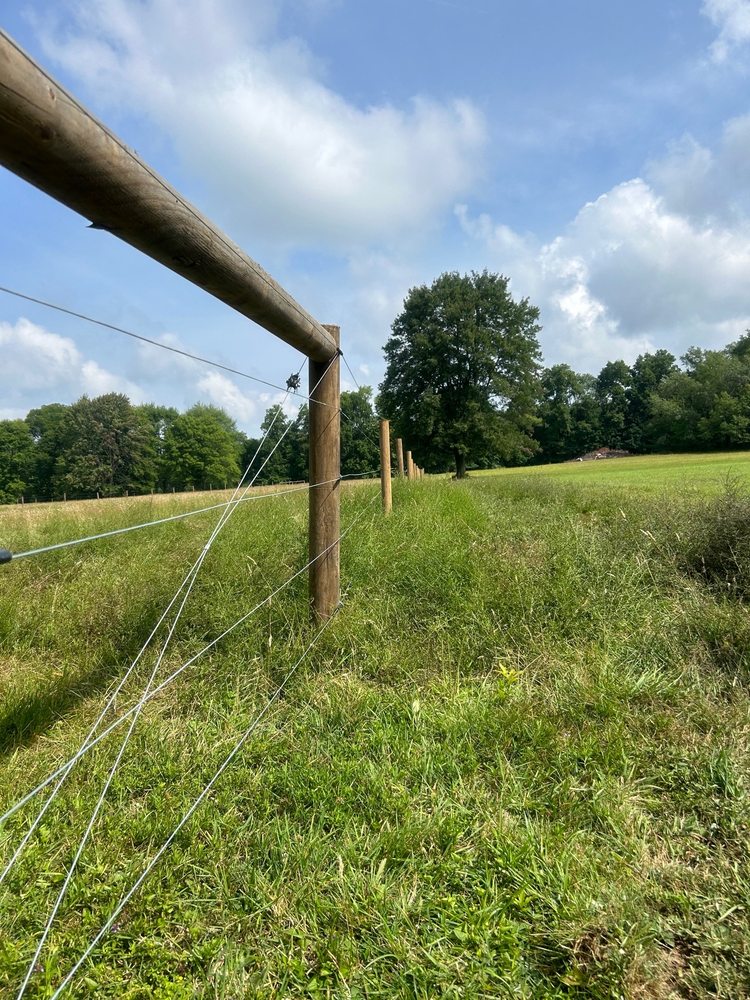 Fallen Oak Agricultural Fencing