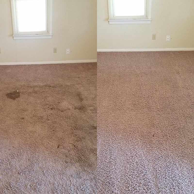 Freddy’s Carpet Cleaning