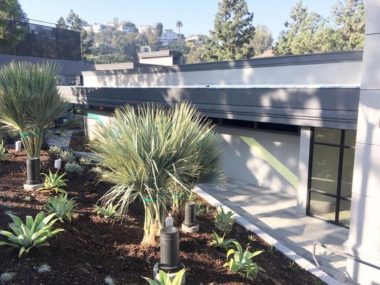 Pinnacle Landscape Management 2200 S Fairview St Santa Ana Ca Legal Help Pinnacle Landscape Management