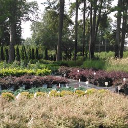 Outdoor Environments Nurseries Gardening 68 Zion Church Rd Photo Of Outdoor Environments Braselton Ga United States