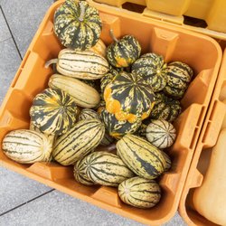 Quincy Farmers Market photo