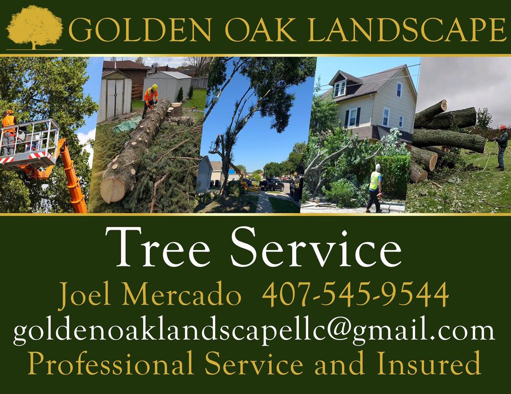 Golden Oak Landscape and Tree Service 