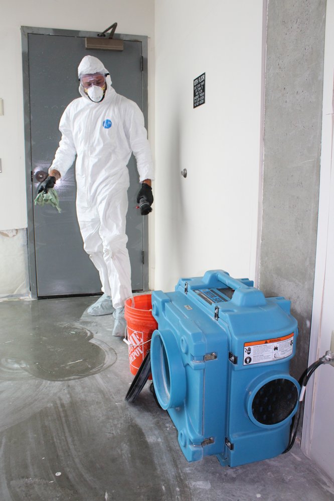 Disaster Response of Lewiston, Idaho