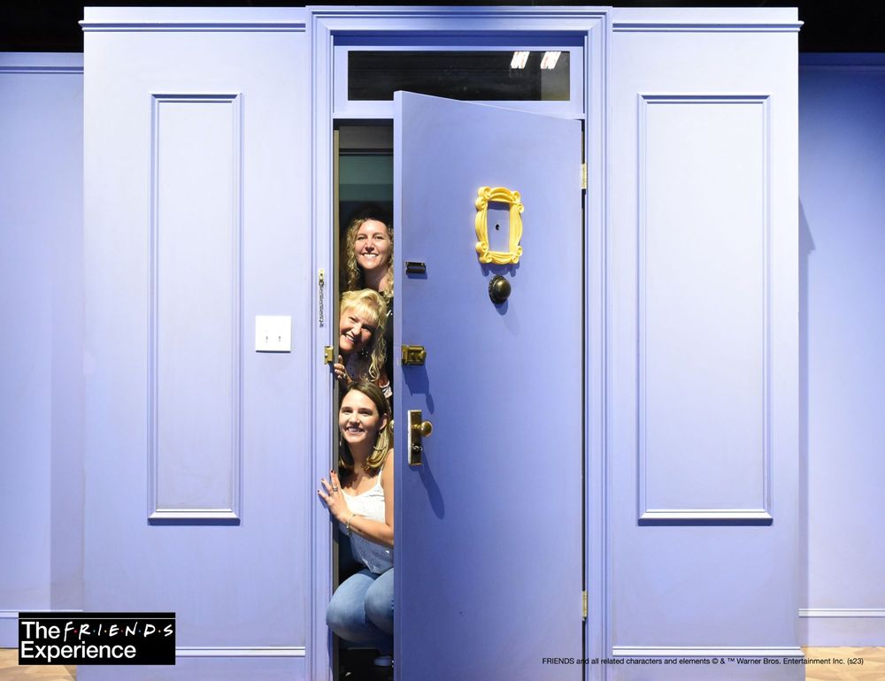 The FRIENDS Experience