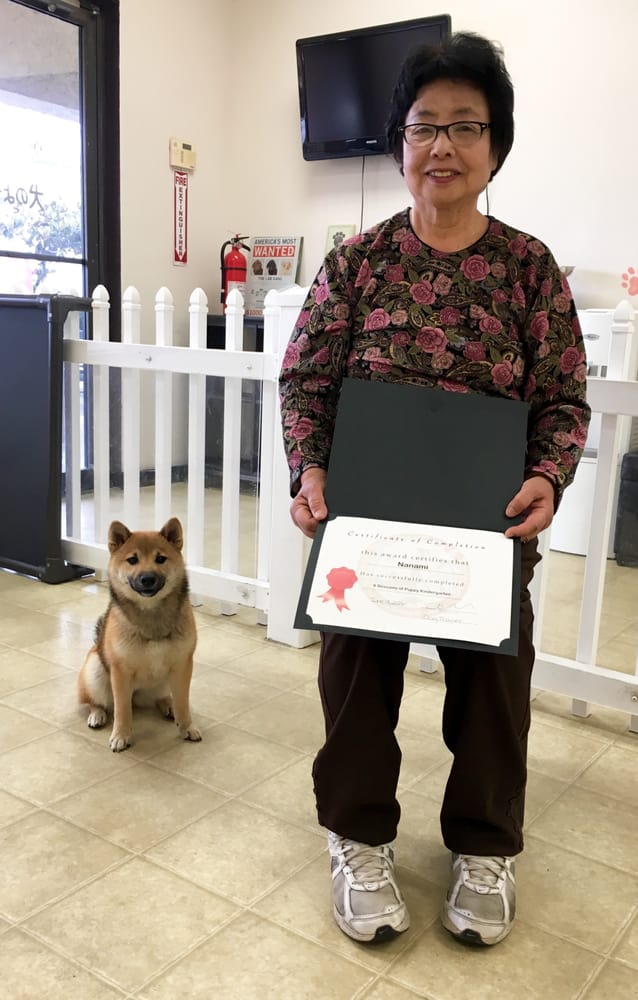 puppy kindergarten near me torrance puppy kindergarten 24 photos 10 reviews pet puppy kindergarten near me torrance puppy kindergarten 24 photos 10 reviews pet