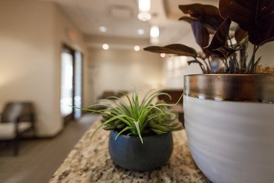 image of business Kenwood Complete Dentistry