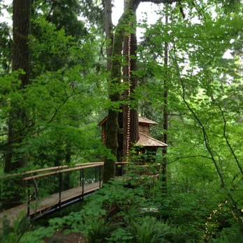 treehouse masters treehouse point pete nelson photo of treehouse point issaquah wa united states 169 photos 65 reviews bed breakfast 6922 treehouse masters treehouse point pete nelson photo of treehouse point issaquah wa united states 169 photos 65 reviews bed breakfast 6922