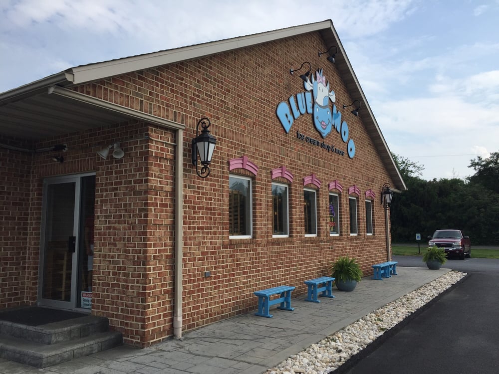 Blue Moo Ice Cream Shop