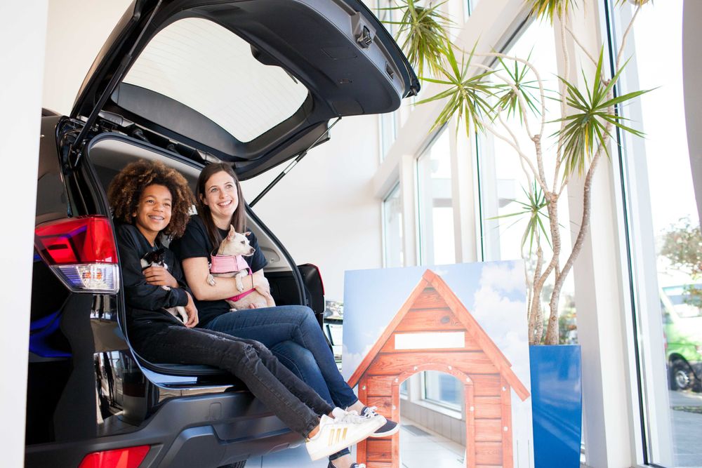 Carter Subaru Shoreline