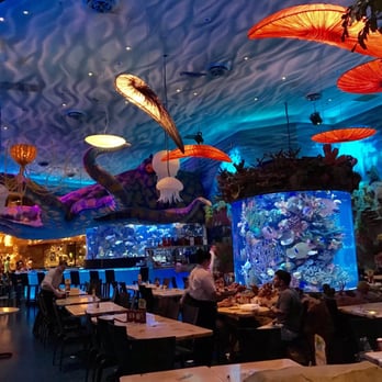 T Rex Restaurant Orlando Fl Phone Number T Rex Restaurant Orlando Fl Phone Number