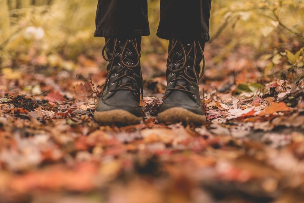 Redbeard's Lawn & Property Maintenance