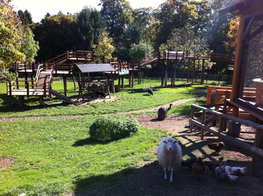 Wildund Erlebnispark Daunwildpark Daun Wildund Wildund Erlebnispark Daunwildpark Daun Wildund