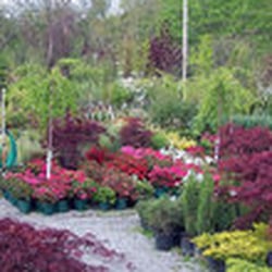 Riggio S Garden Center Es Flower Pe Nurseries Gardening Photo Of Riggio S Garden Center Es Flower Pe Ct United States