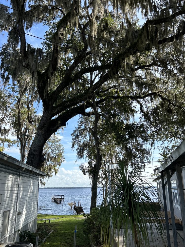 A Family Tree & Landscaping
