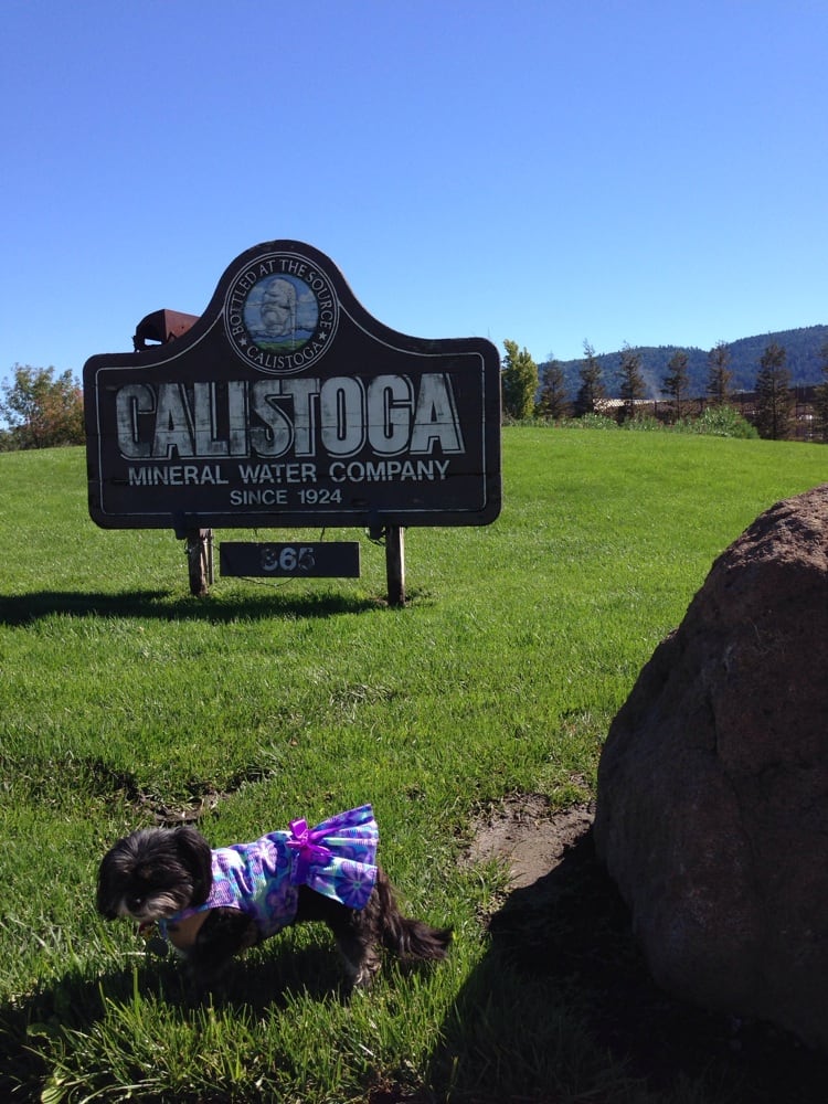 Calistoga Mineral Water Company CLOSED Water Stores 865 Silverado Trl, Calistoga, CA