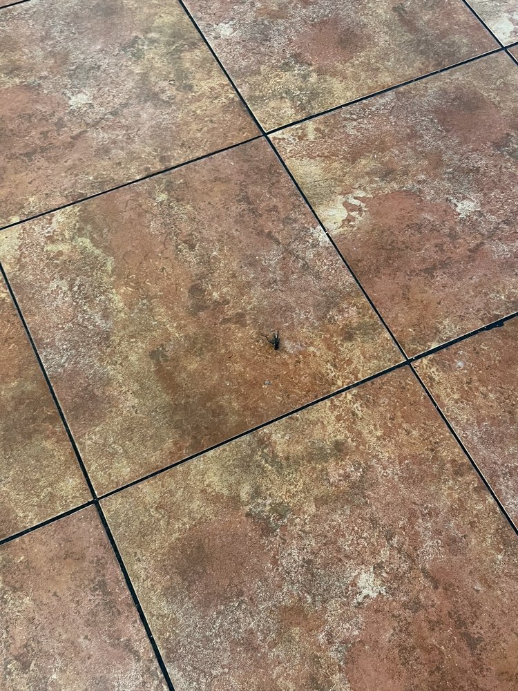Braum's Ice Cream & Dairy Stores