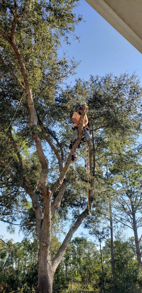 CNC Tree Service