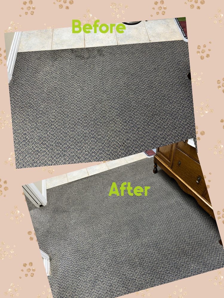 Doigg's Restoration & Cleaning