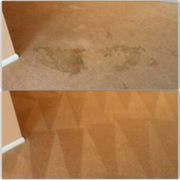 Advanced Carpet Cleaning 18 Photos 157 Mills Photo Of Advanced Carpet Cleaning Louisville Ky United States