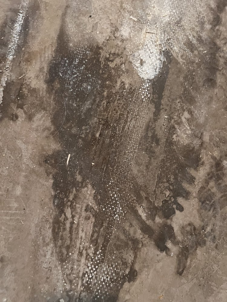image of business Lone Star Carpets
