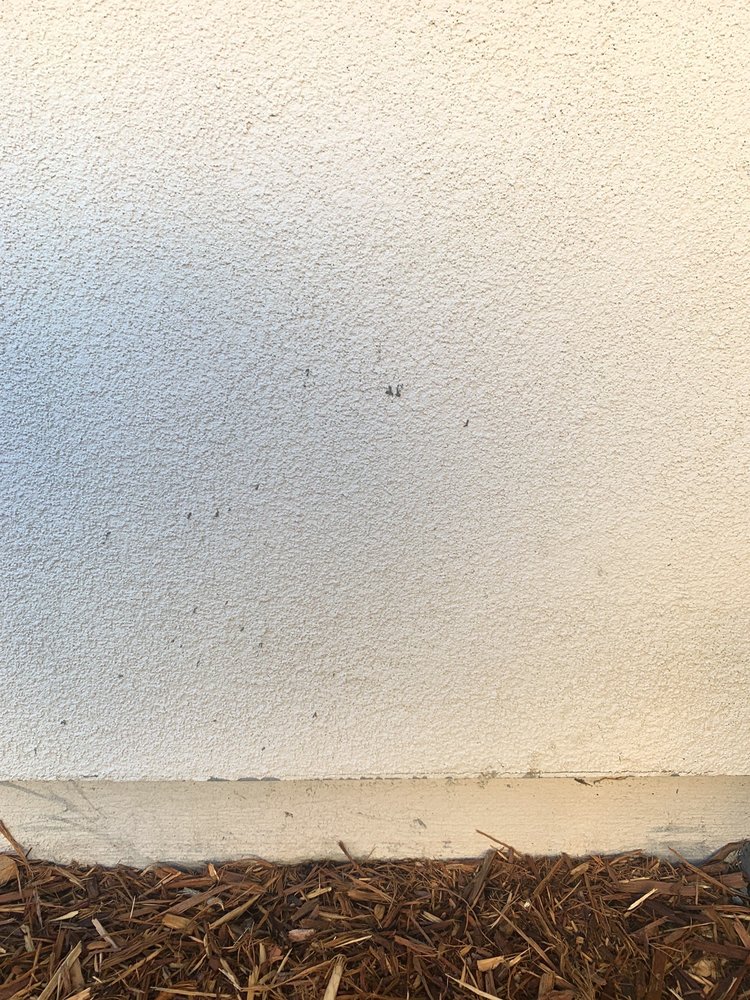 image of business Placer Concrete & Construction