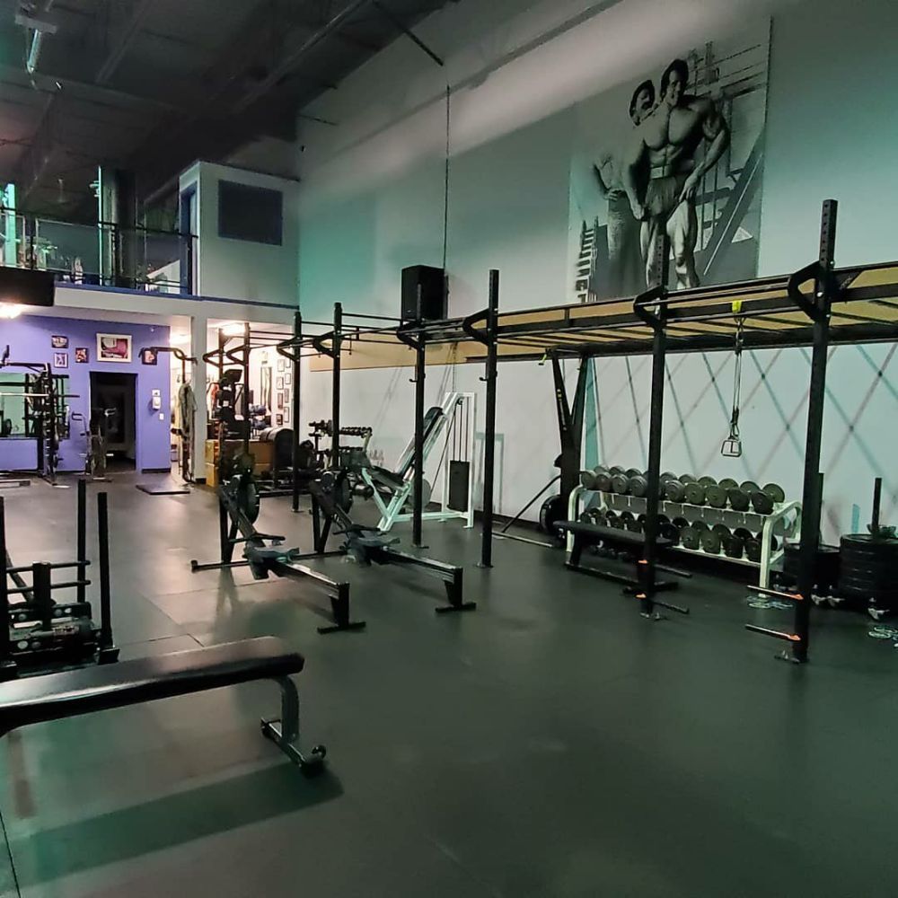 Gator's Gym