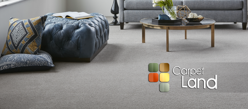 image of business Carpet Land