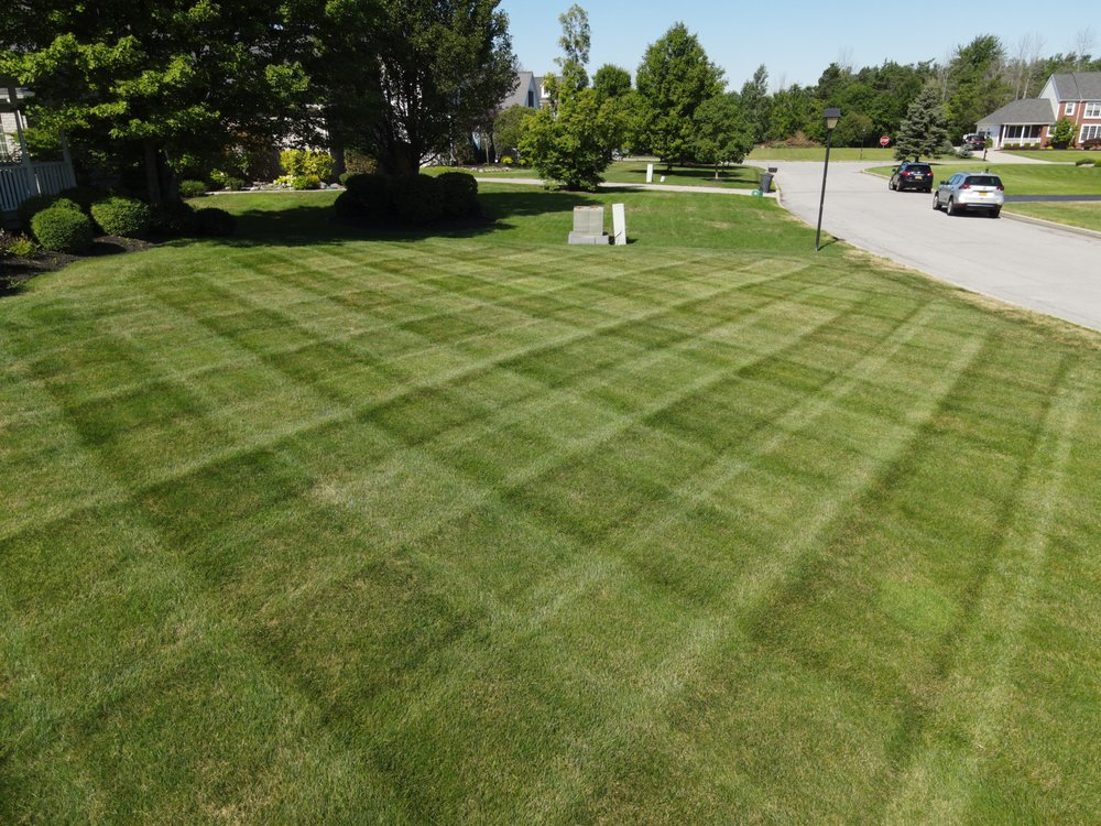 A Plus Cuts Lawn Care