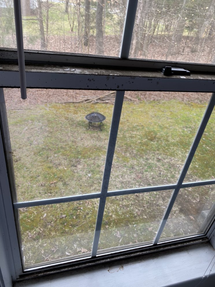 Nancy's General Cleaning Services