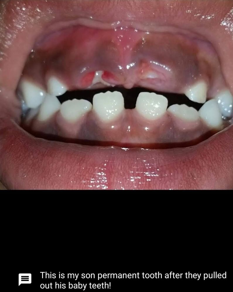 image of business Palmetto Dental Service PA