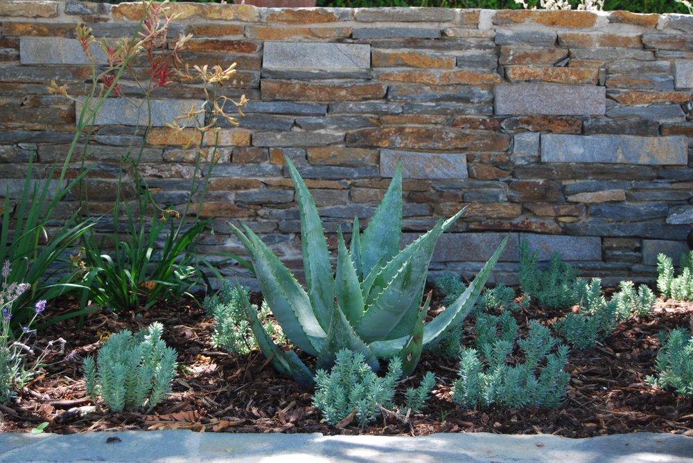 Williams Sprinkler and Landscape