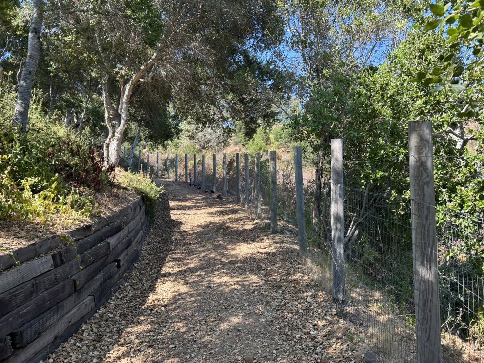 H&H Wildland Fuel Mitigation