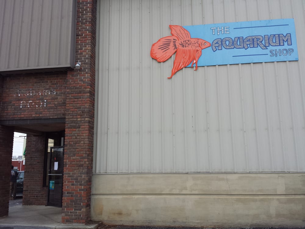 aquarium shop pet stores 2013 cox ave nw huntsville aquarium shop pet stores 2013 cox ave nw huntsville