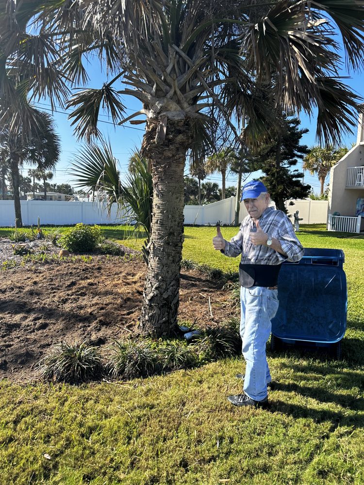 SB Tree Service