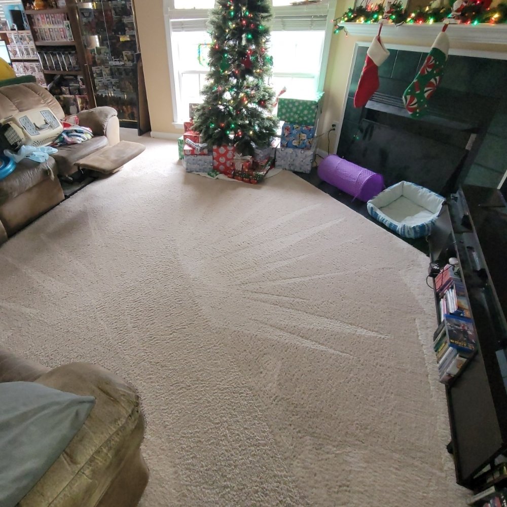 Gunter's Cleaning Services