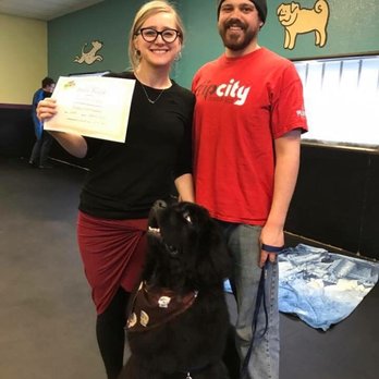 Happy Go Lucky Dog Training Portland Or Happy Go Lucky Dog Training Portland Or