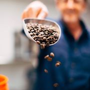 Java Pura Coffee Roasters - 48 Photos & 26 Reviews - Caterers - 5250 ...