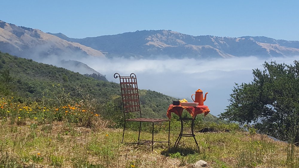 Monterey Peninsula Notary
