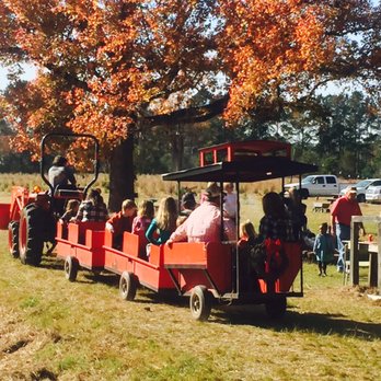 toogoodoo christmas tree farm christmas trees 7355 toogoodoo christmas tree farm christmas trees 7355